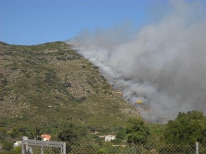 THE FIRE AT BARX THIS WEEK! APRENDER INGLES EN GANDIA