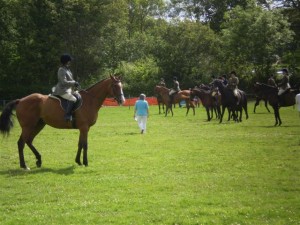 CABALLOS EN INGLATERRA