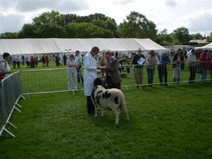 FIESTA EN INGLATERRA