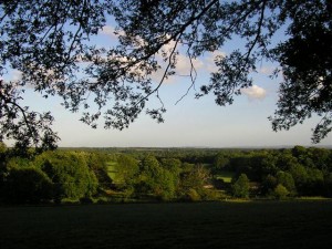 LA BONITA INGLATERRA - UNA VISTA DE SURREY LA BONITA INGLATERRA - UNA VISTA DE SURREY