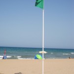 Problemas comunes en el aprendizaje de inglés en Gandia